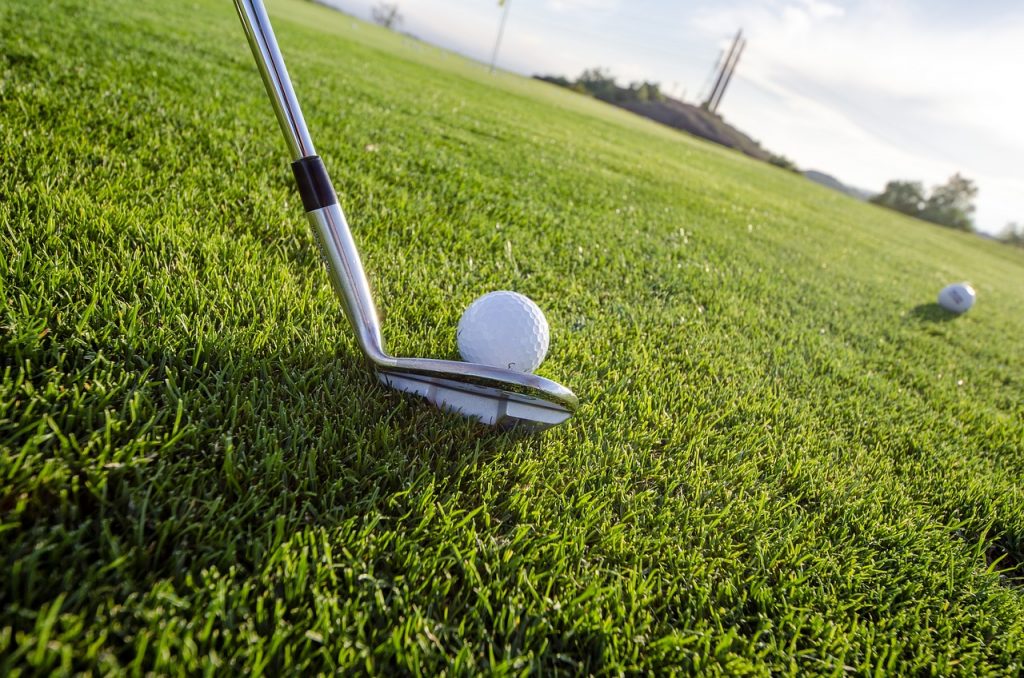 golf, grass, sport-5340564.jpg